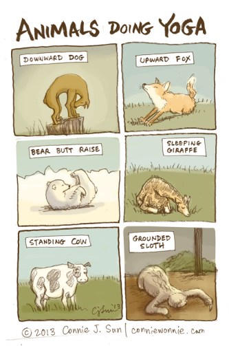 36-drawing-animals-doing-yoga-w500