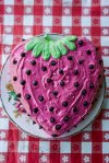 2017 Cherry Valley Strawberry&nbsp;Social